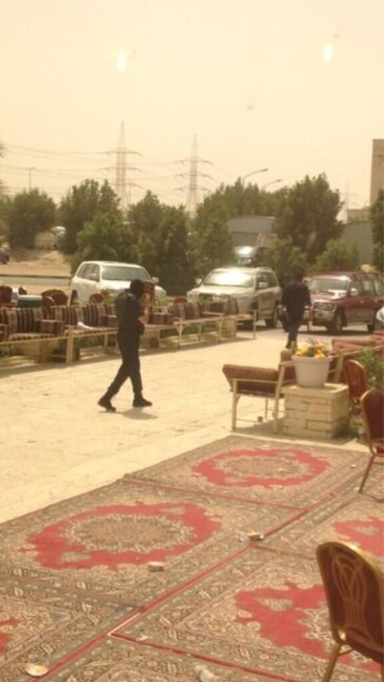  مسلم البراك