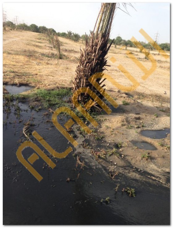 تسرب نفطي الكويت