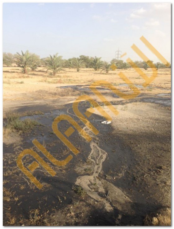 تسرب نفطي الكويت