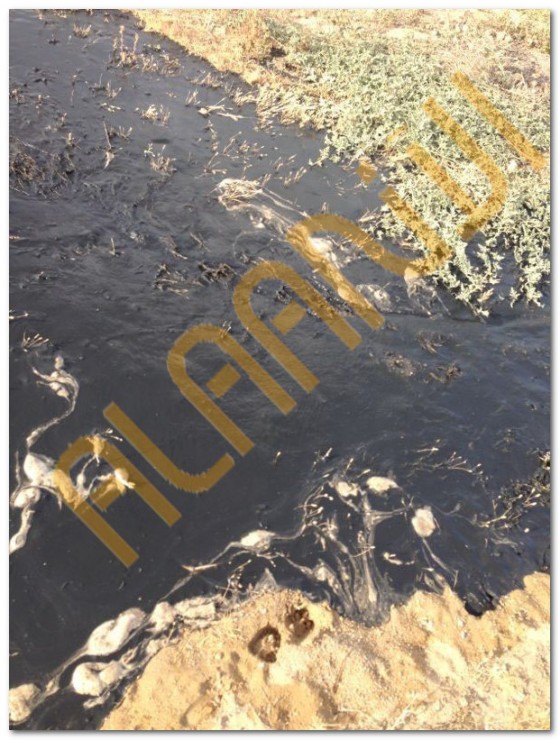 تسرب نفطي الكويت