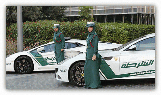 شرطة دبي