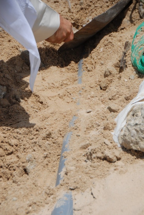 News_2960_1_DSC_0063 [1600x1200]