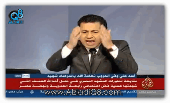 الجزيرة مصر