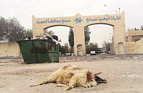 389607_1401538070114135700_Crp__RT728x0-_OS486x317-_RD486x317-