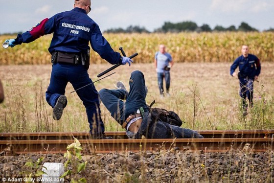 2C13557600000578-3226888-Head_over_heels_A_migrant_falls_face_first_between_railway_track-a-4_1441747847609